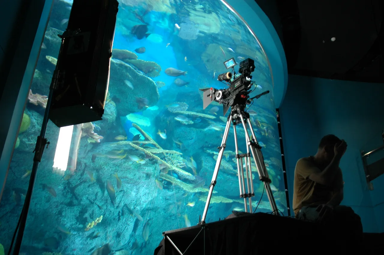 Mediawok camera and lighting setup filming in front of a large aquarium